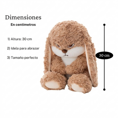 Conejito Grum Bun "Sr. Cascarrabias"